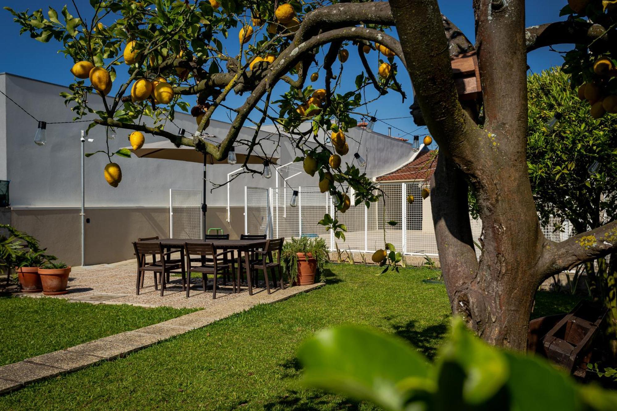 708 Mugnano House Aveleda Villa วิลาโดคันด์ ภายนอก รูปภาพ